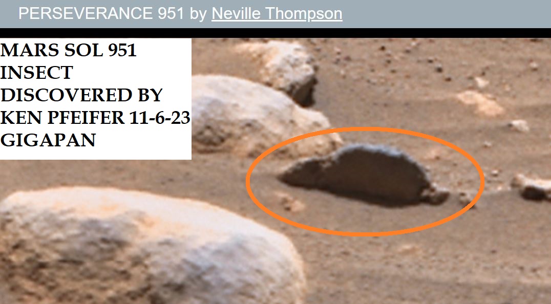 Mars Rover Images Insect WORLD UFO PHOTOS AND NEWS